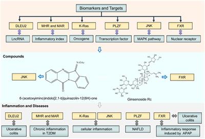 Editorial: Recent advances in novel therapeutic molecules and targets for inflammatory diseases